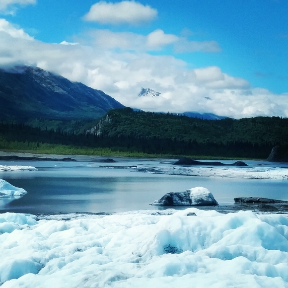 Meet your Posher, Cyndi - Picture 3 of 16